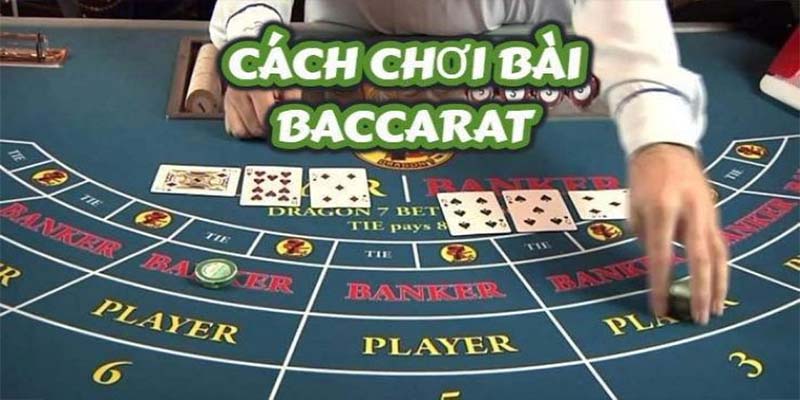 Quy trình tham gia chơi baccarat 